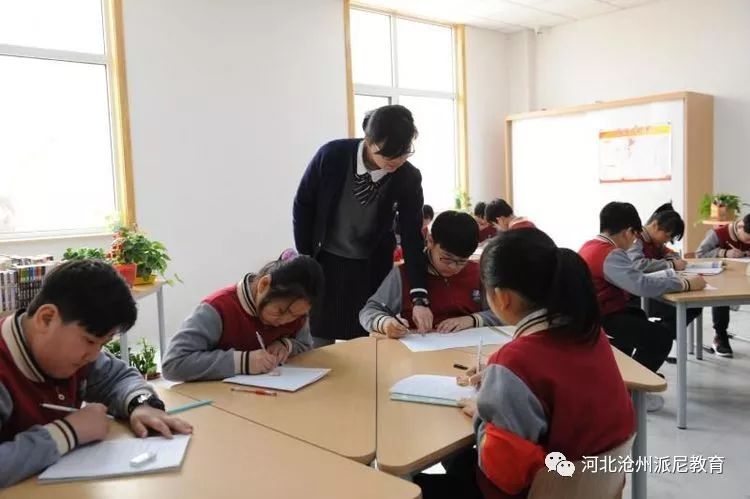 春风十里梦起航，听课评课促成长