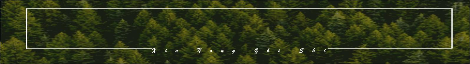 黄鳝养殖技术稻田黄鳝养殖方法,稻田养黄鳝耕地期会伤害黄鳝吗