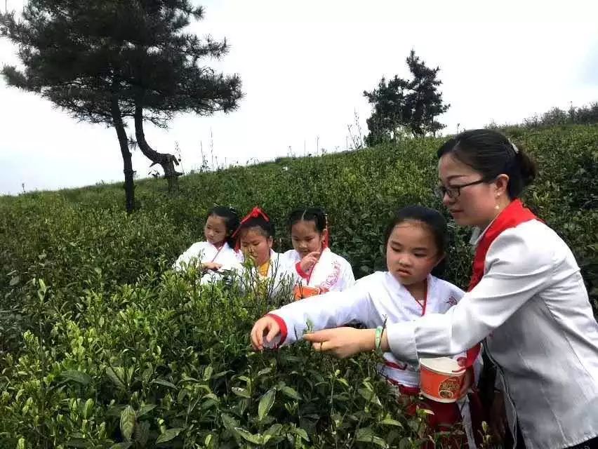 草长莺飞踏青季哪里好玩,草长莺飞春游