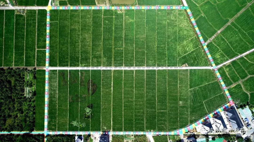 震撼！钱塘江畔出现巨型画作，有28个足球场这么大！