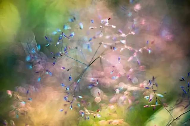 拍人像，50、85、135你会选什么焦段？