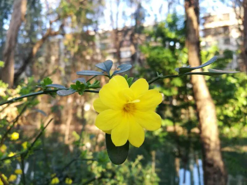 手拍世界,手拍世界近期作品