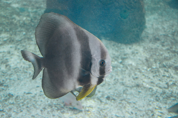 三亚休闲度假旅游攻略推荐,三亚休闲度假旅游攻略