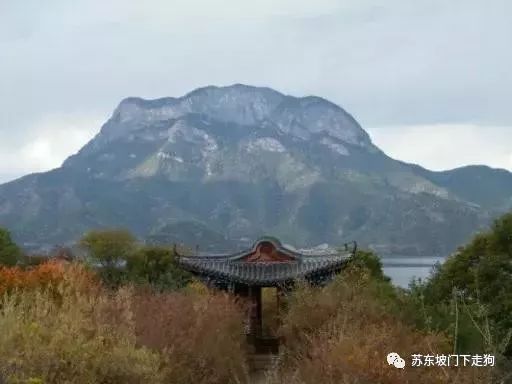 何谓发现？是洛克发现了丽江？