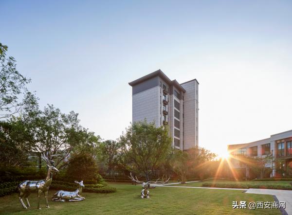 浐灞碧桂园未来趋势,碧桂园顶跃西安浐灞