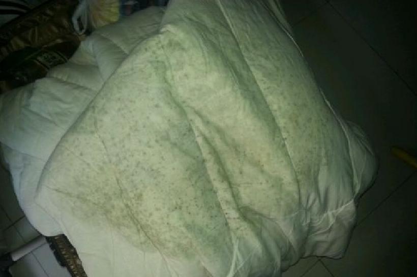 开学该拿什么东西,开学拯救计划