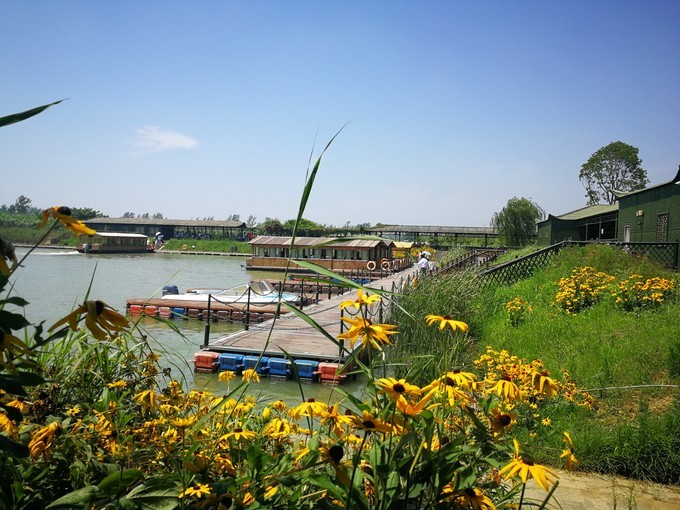 宿迁千年古县排名,宿迁面积最小的县