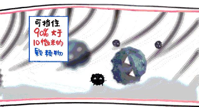 鼻毛被拔出来,鼻毛为什么轻轻一拔就掉了