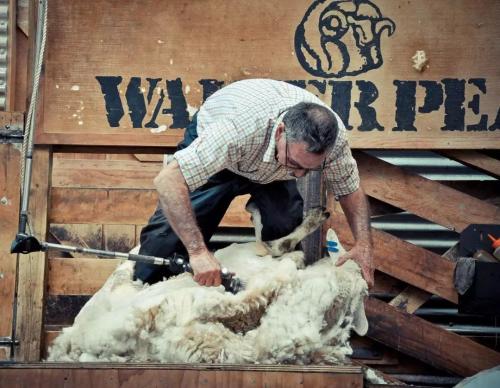 优衣库联名kaws涨价,优衣库联名款为什么遭疯抢