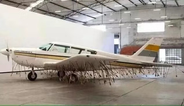 在哨兵岛被杀的探险家,哨兵岛死亡事件