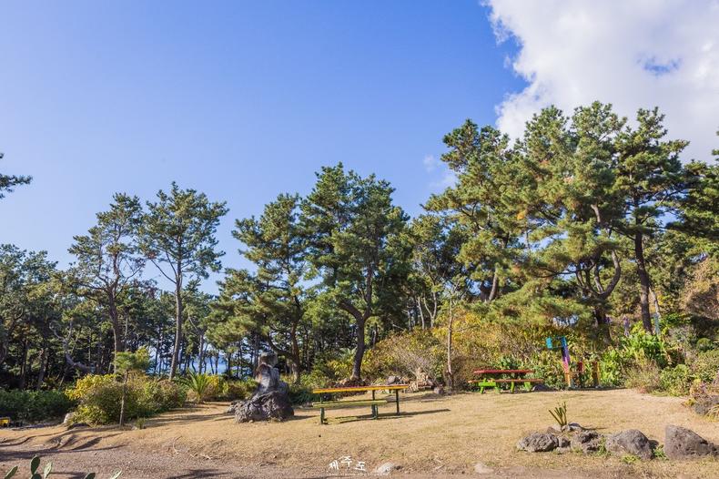 济州岛四天三夜旅行攻略,3天2夜济州岛旅行