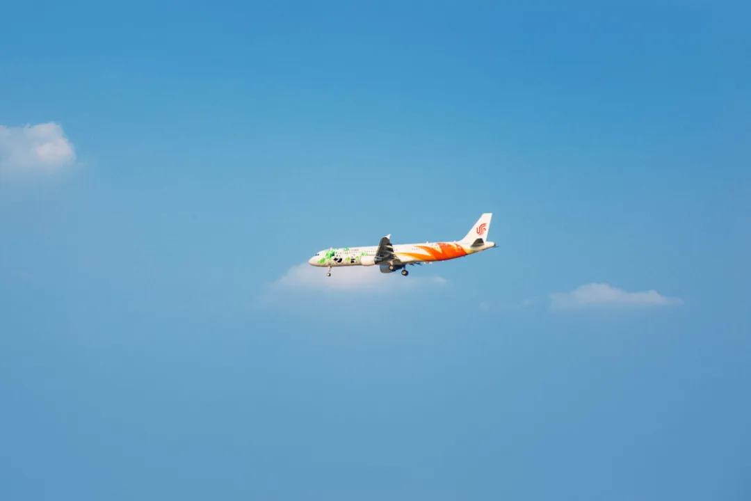 在空港花田里怎么拍照好看,每张都是屏保