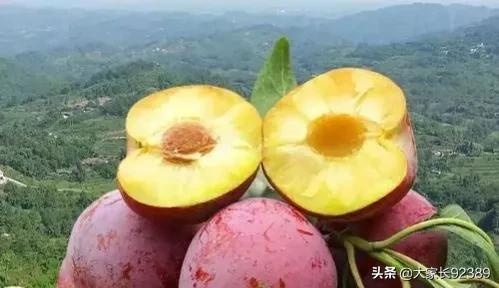 汉源土特产有哪些,汉源才有的美食