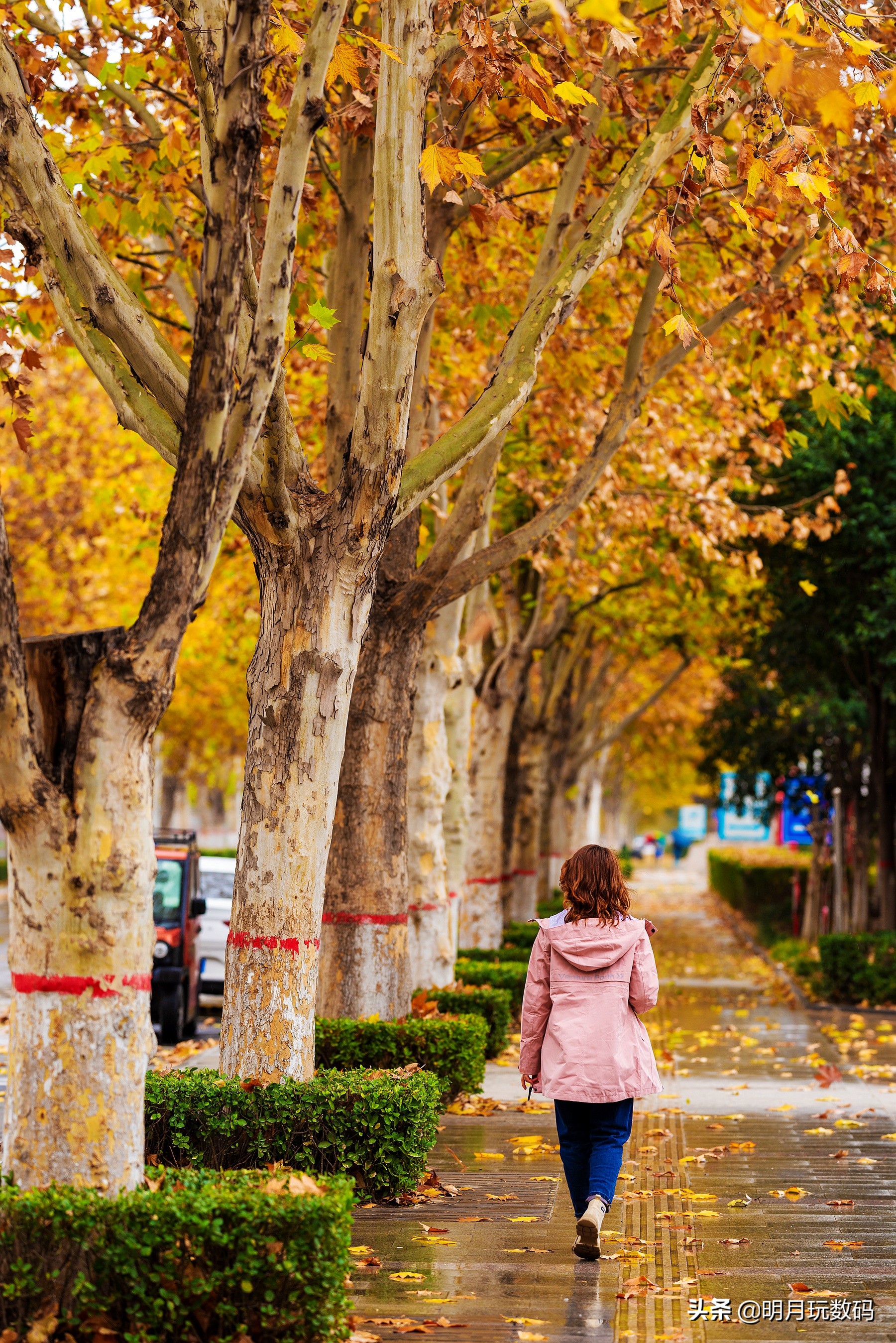 什么冲锋衣时尚好看,冲锋衣高级感秋冬时尚