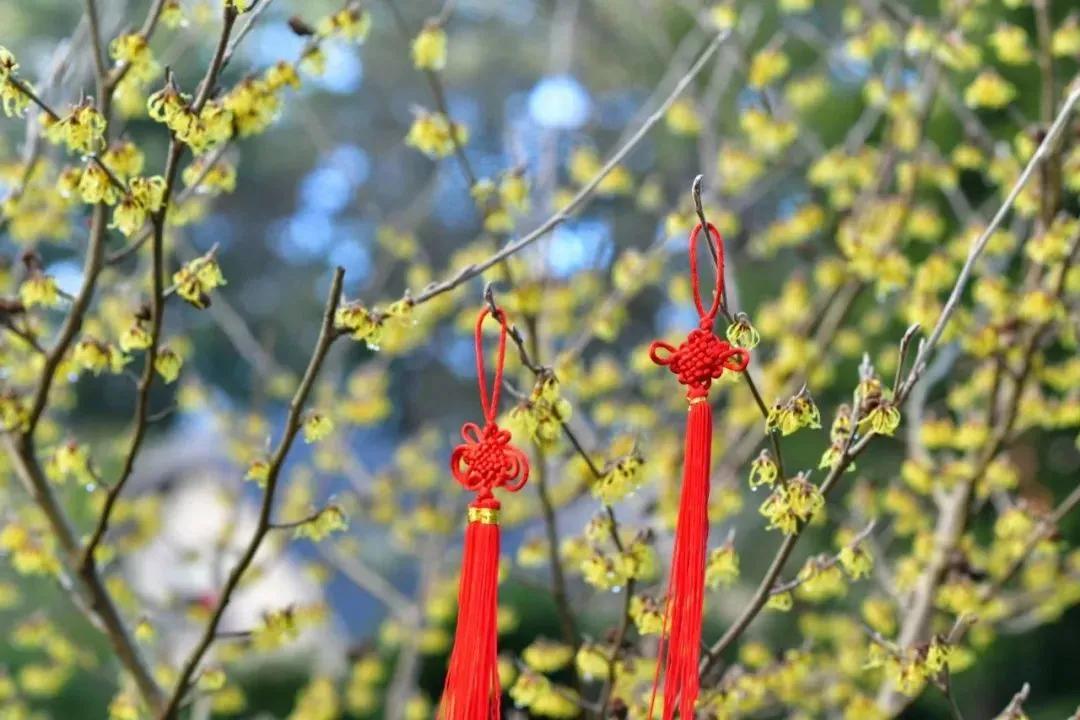 每周摄影作品展的第102期佳作欣赏,每周摄影作品展官网