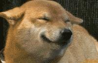 免费app是怎么盈利的,免费视频网站靠什么盈利