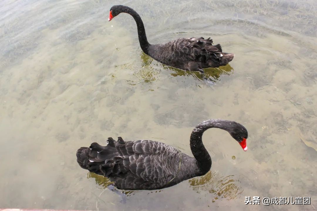 无滤镜公园随拍,无需加滤镜的公园