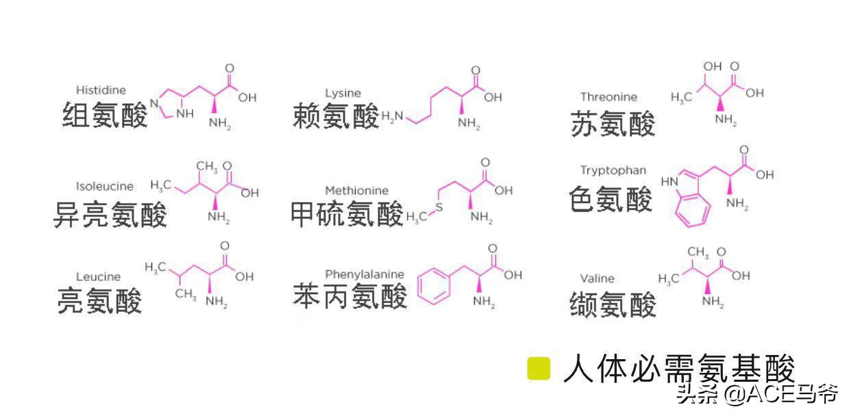 瞧那肌肉，都是喝蛋*粉白**的！一脸懵逼