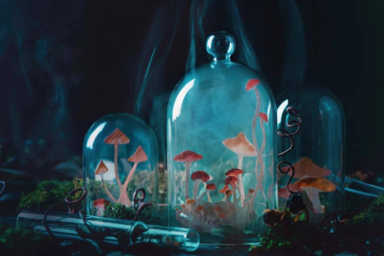 《藤野先生》《从百草园到三味书屋》:比较老师形象的异同