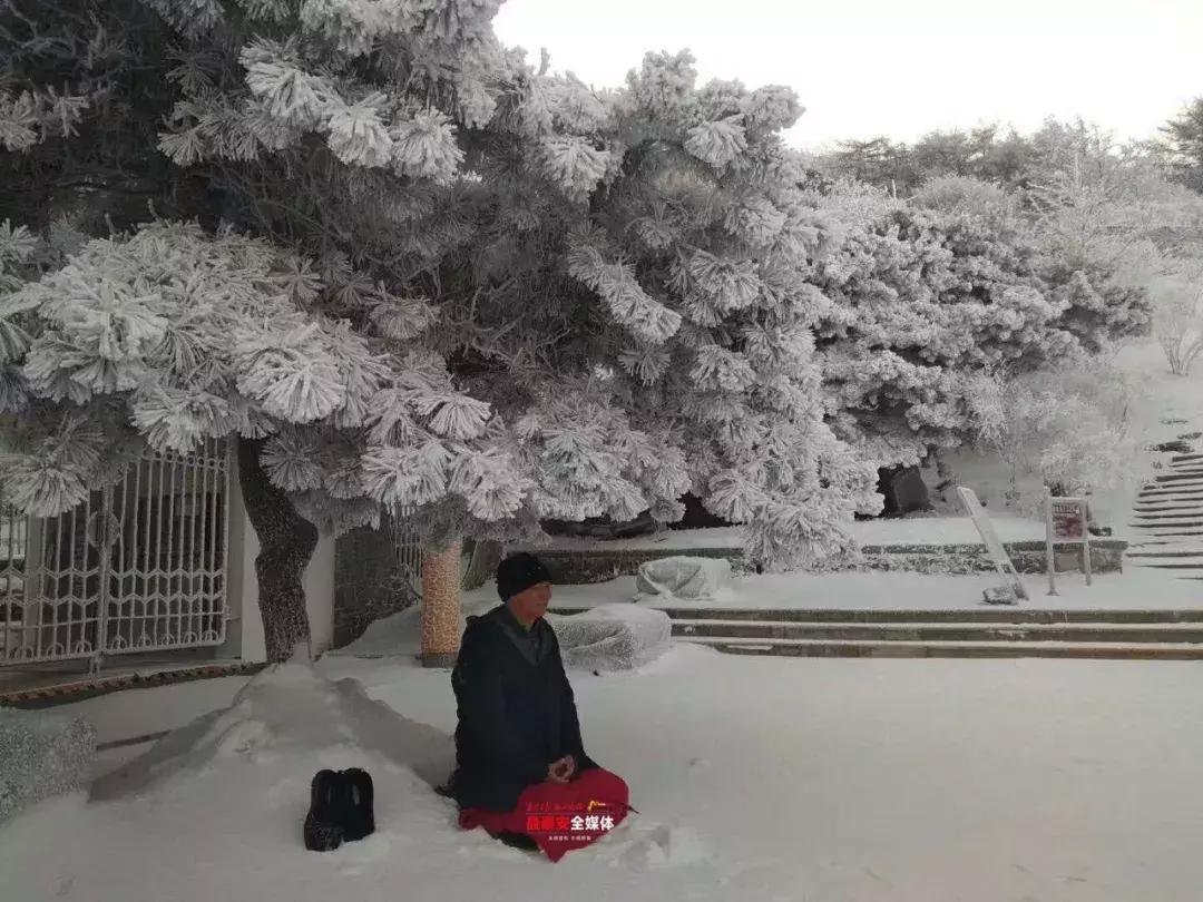 此刻泰山成了雪国，美到无言！高清美图来袭，“雪国的列车”即刻发车！