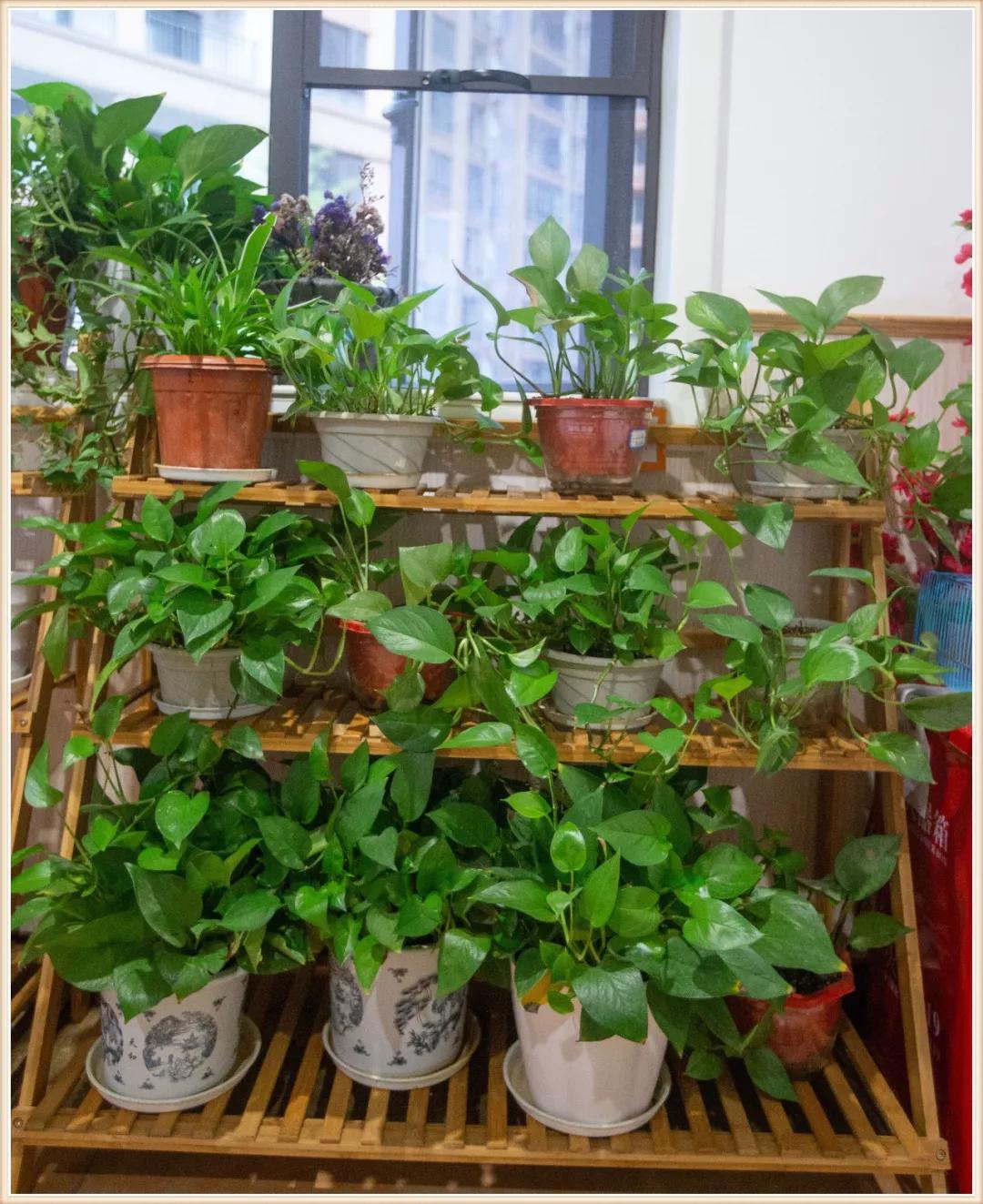 大班新学期环境创设实施方案,大大的小小的主题活动及环境创设