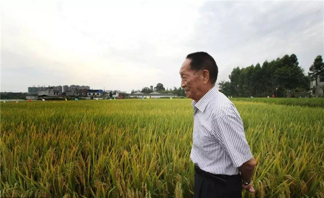 美国粮食价格危机,美国是如何操控世界粮价的