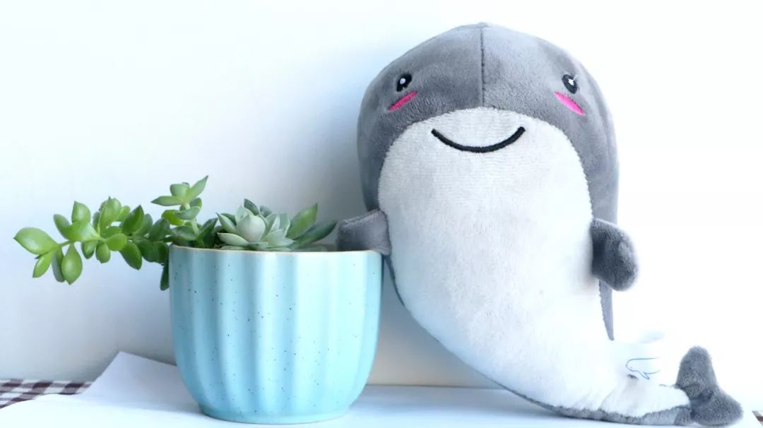 长江江豚吉祥物,南京江豚