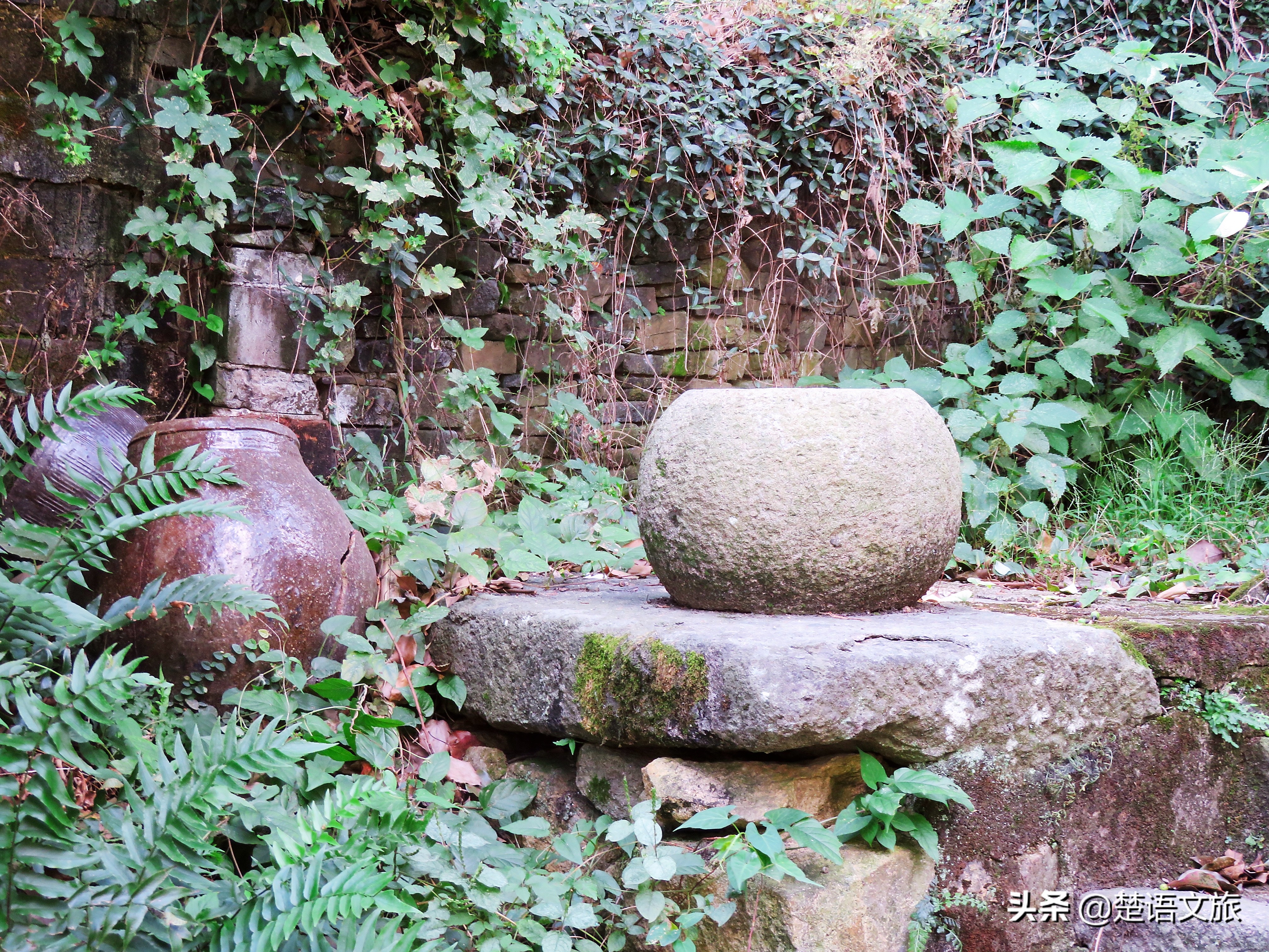 盛产杨梅而闻名的县是哪里,杨梅之乡余姚在什么省