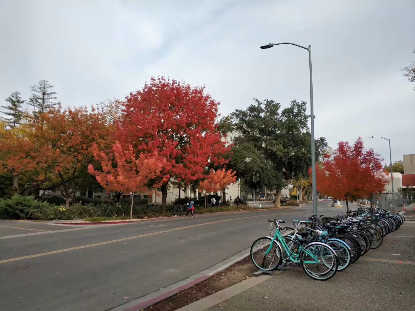 达特茅斯学院化学,达特茅斯学院生物学