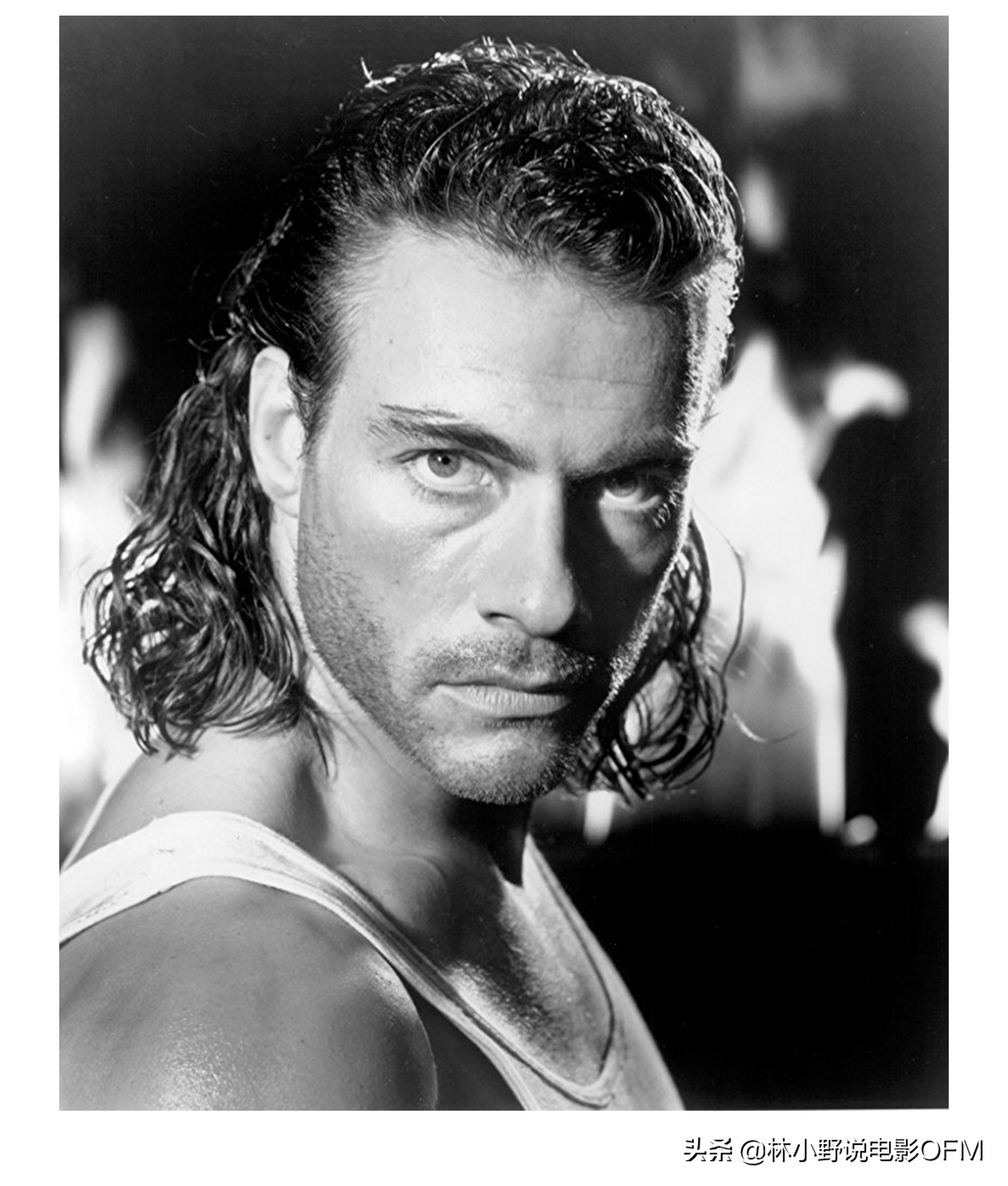 好莱坞动作巨星,强森好莱坞片酬