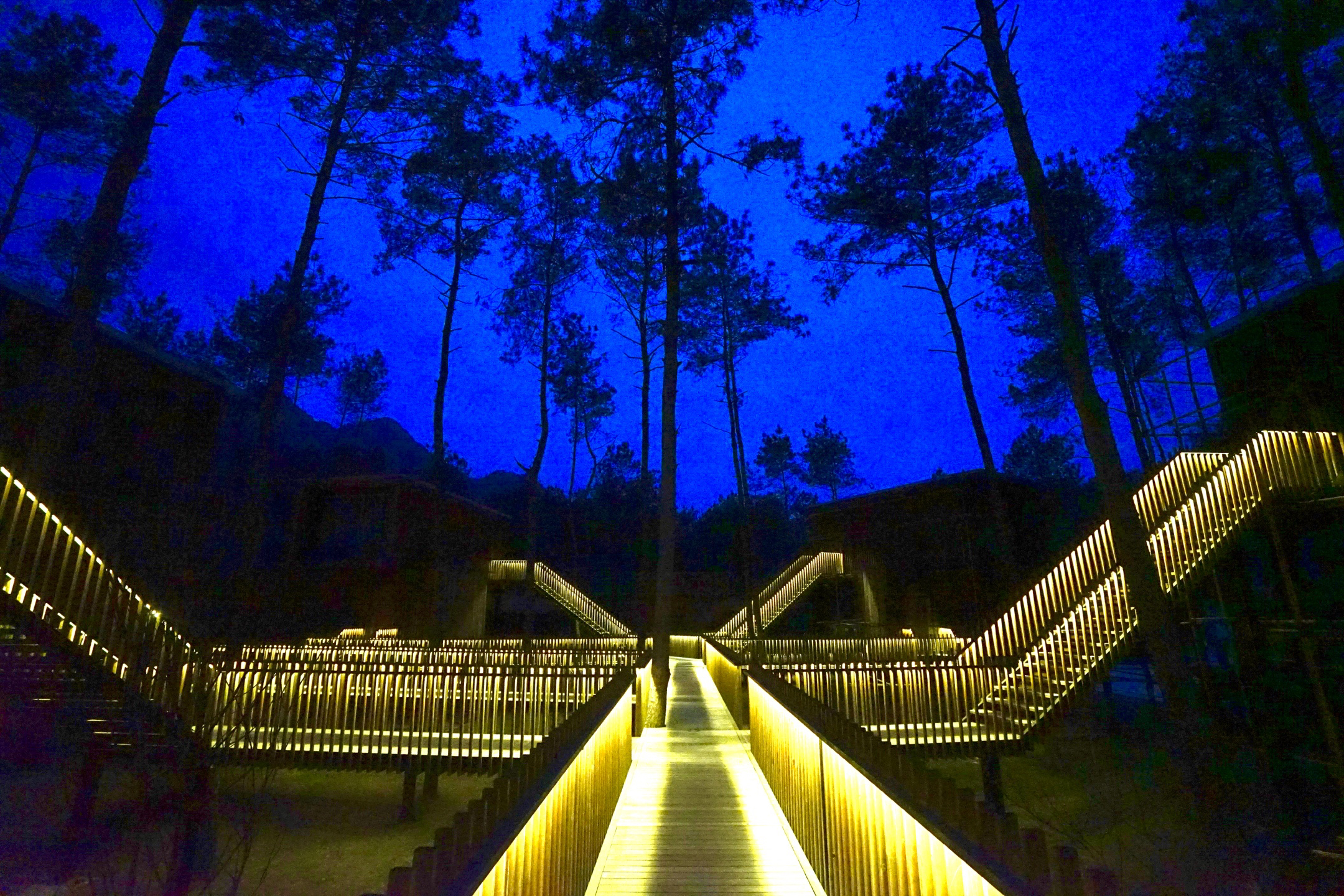 温州旅游必去十大景点有哪些,温州都有哪些好玩的地方景点