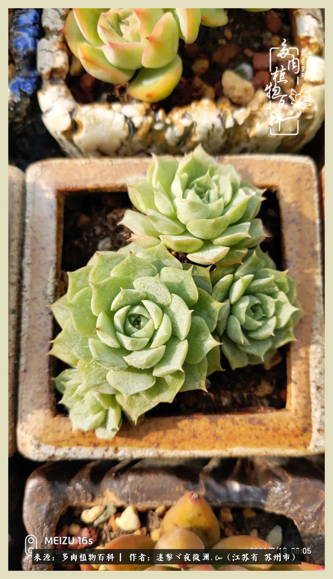 秋尽冬来岁月不居时节如流,岁月不居时节如流水