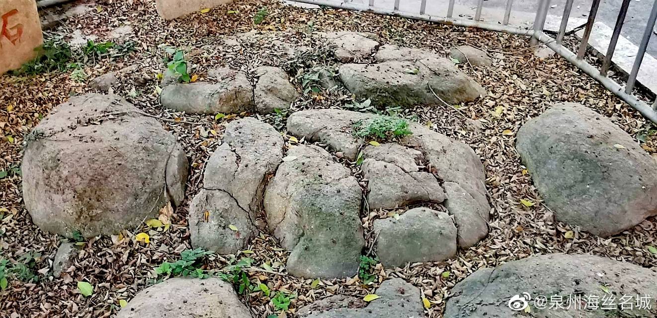 泉州高考状元庆祝,2020高考喜中状元庆祝