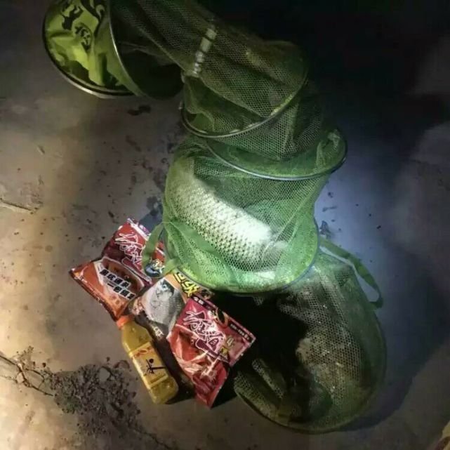 夜钓最佳上鱼时间秋季,初秋夜钓最佳上鱼时间