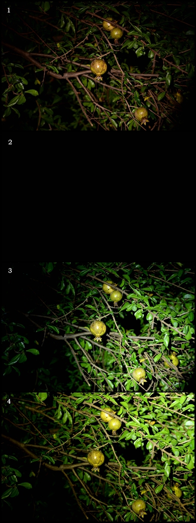 随身照明小金刚——NITECORETIPSE钥匙灯评测