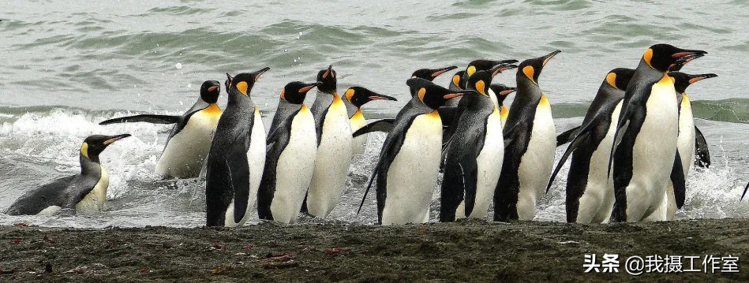 第16届国际摄影艺术展获奖作品,第29届全国摄影艺术展览作品集