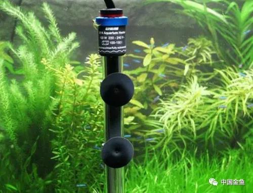 如何判断家里的水是硬水还是软水,家中盛水用什么好