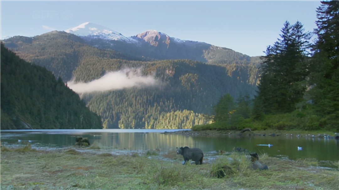 马斯克15年内培育出恐龙,埃隆马斯克复活恐龙计划