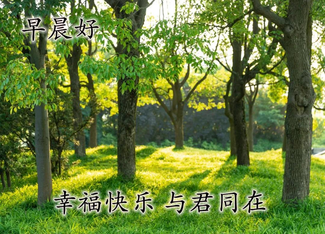 早安佛祖祝福带字美图,最新早安带字祝福图片