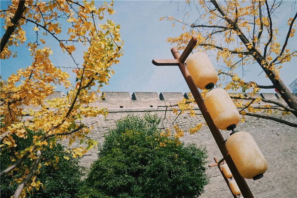 西安八月约会最佳地点,西安周末情侣最适合约会的地方