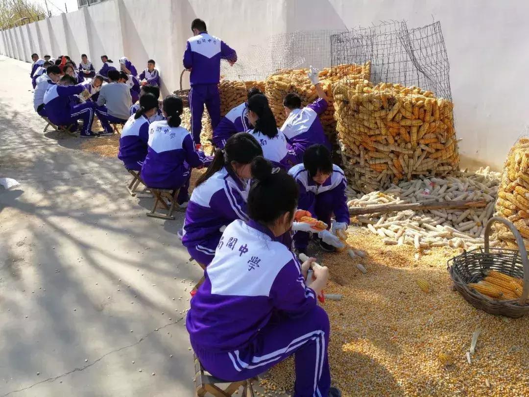 天津南开中学校史真实感受,天津南开中学有多厉害