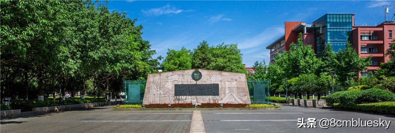 学医不代表什么都懂,学医不从医好吗