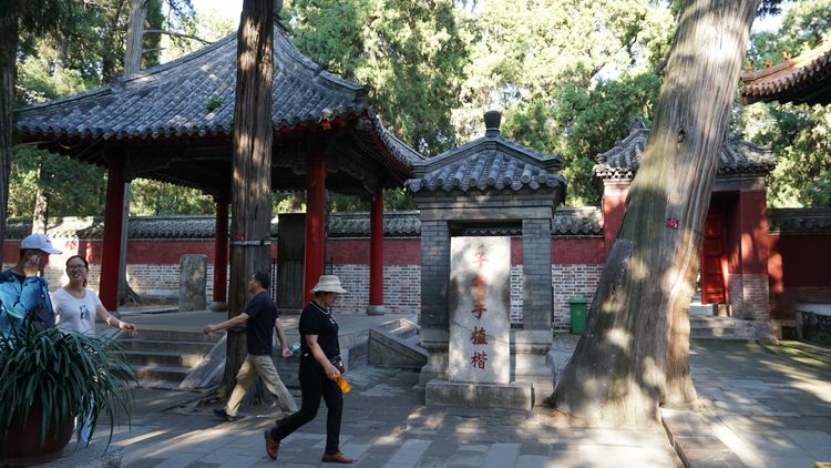 曲阜三孔知识,曲阜三孔文化信息交流