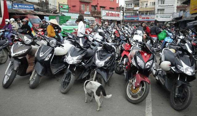 越南游客很多,越南人来中国旅游观光购物情况