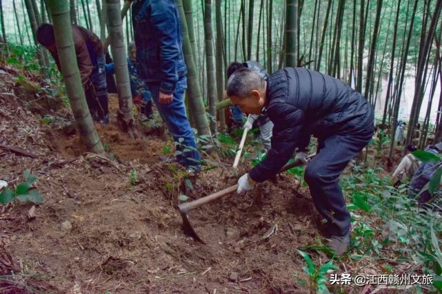 龙南冬天美景,龙南一日游的真实感受