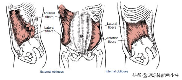 游泳初学者会有什么问题,游泳初学者的常见误区