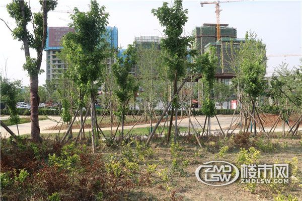 碧桂园欧洲城风貌,碧桂园欧洲城现房价格