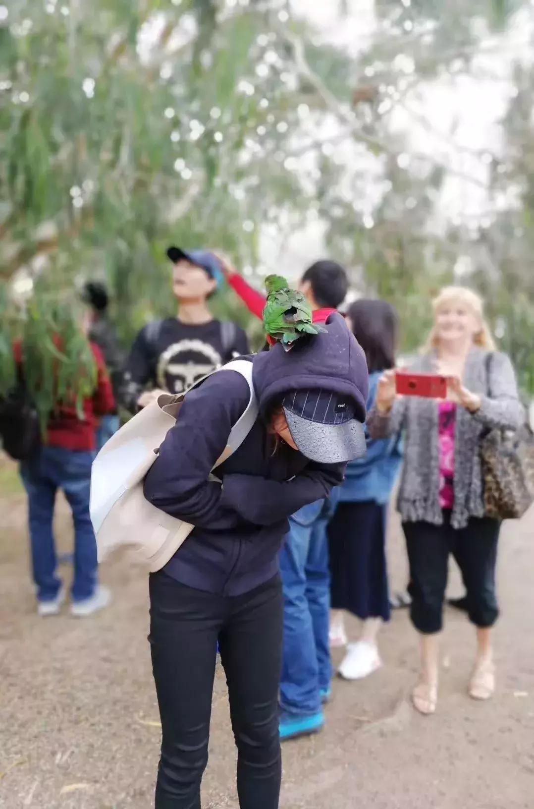 一年买三个奢侈品包包好吗,买过最后悔的大牌包包是什么