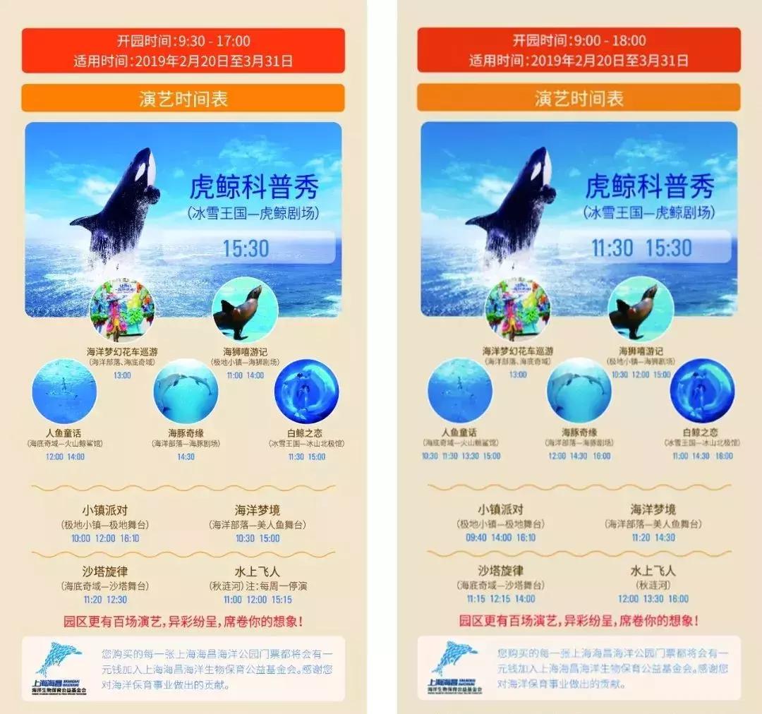 难得一见海洋动物表演,看不完的海洋动物和表演