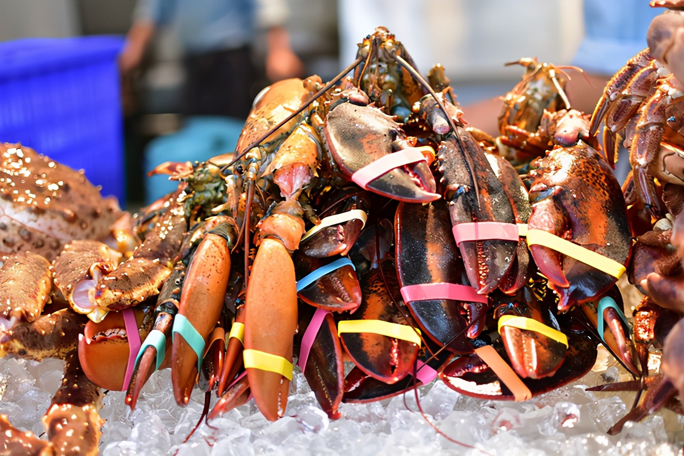 来三亚必吃的海南菜,三亚旅游在哪里吃海南菜